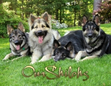 2012 OurShilohs Calendar