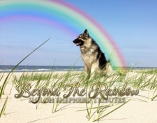 2022 Beyond The Rainbow