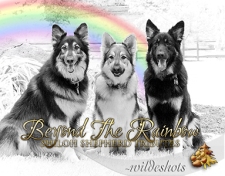 2023 Beyond The Rainbow