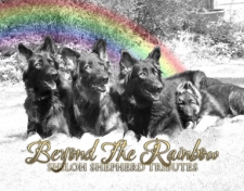 2025 Beyond The Rainbow