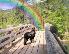 2021 Beyond The Rainbow