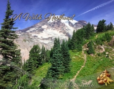 Wilde Northwest